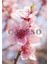 Cherry Blossom-Japon Kiraz Çiçeği Çubuklu Oda Kokusu 150 ml 3