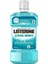 Cool Mint Ağız Suyu 250 ml 1