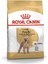 Poodle Adult Yetişkin Köpek Maması 3 kg 1