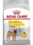 Medium Dermacomfort Yetişkin Köpek Maması 12 kg 1