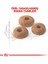 Fit 32 Yetişkin Kedi Maması 15 kg - Farmapets 3