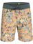 SurfSilk Tijuana 19 Erkek Boardshort EQYBS04770 1