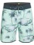 SurfSilk Tijuana 19 Erkek Boardshort EQYBS04770 1