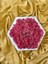Reindeer Moss Mumyalanmış Yosun Altıgen 1