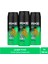 Erkek Sprey Deodorant Jungle Fresh 48 Saat Etkileyici Koku 150 ml X3 1