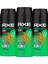 Erkek Sprey Deodorant Jungle Fresh 48 Saat Etkileyici Koku 150 ml X3 2