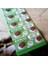 Button Alkalıne Battery Ag Seria Ag 3 Pil Lr 41 Pil Sr 392 Pil Sr 41 Pil 192 Pil Saat Pili Yedek Pil 2