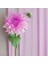 İtalyan Krapon Kağıdı No:361 - Pudra Pembe - Powder Pink 90 gr. 50X150 cm 3