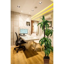 Cennet Home  Yukka Dracaena Palmiye Ağacı 4 Gövdeli Ahşap Görününmlü Plastik Saksıda