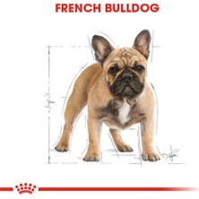 Royal Canin French Bulldog Adult Yetişkin Köpek Maması 3 kg - Farmapets