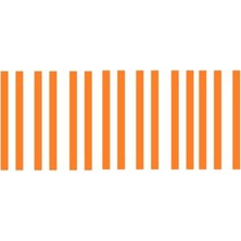 Decogold Tek Şerit Tasarım Boyanabilir Çıta Hazır KESIM(ANKA135)