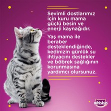 Whiskas Sığırlı Pouch Poşet Yetişkin Kediler Için Tam Konserve Mama 20 x 85 Gr.