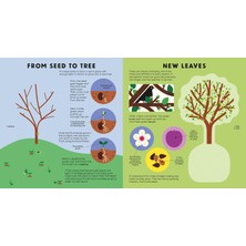 NosyCrow The Tree Book - Hannah Alice - Hannah Alice