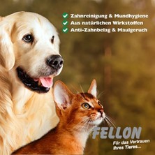 Fellon Kedi ve Köpekler Için Diş Bakım Losyonu 100ML