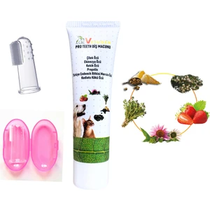 Kedi ve Köpek Diş Macunu %100 Doğal İçeriklerle Ağız Sağlığını Destekler