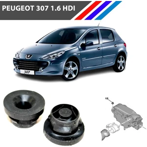 Peugeot 307 1.6 Hdı Hava Filtre Kutu Lastiği 2 Adetli Takım 1422A3