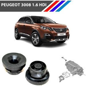 Peugeot 3008 1.6 Hdı Hava Filtre Kutu Lastiği 2 Adetli Takım 1422A3