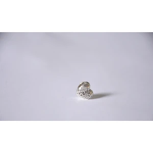Takantalana Worldshop, Pandora, Bileklik Uyumlu, Gümüş, Charm