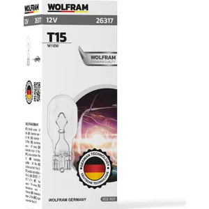 T15 Büyük Dipsiz  10LU T15