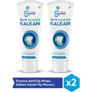 Promine Aktif Diş Minesi Kalkanı Naneli Diş Macunu x 2 Adet