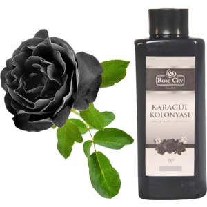 Rose City Doğal Isparta Karagül Kolonyası 380 ml