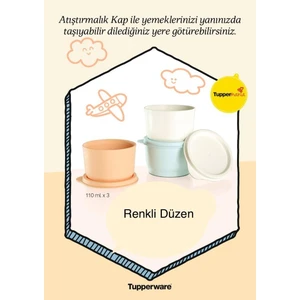3lü Atıştırmalık Kaplar