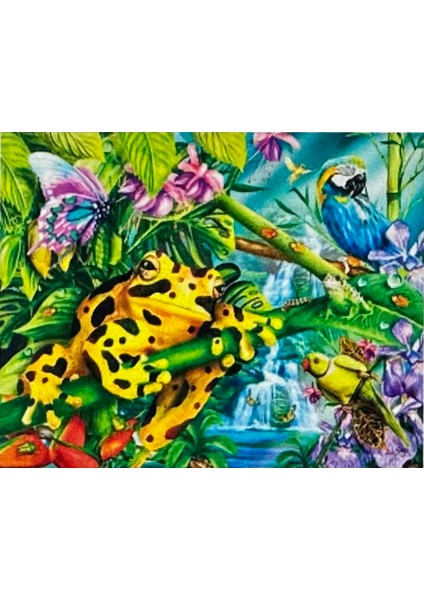 Hı Stone 5d Elmas Boncuk Taş Işleme Mozaik Goblen Kit 30X40CM GD73396