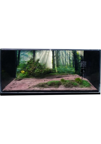 1/64 Model Araba Sahnesi Diorama Simülasyonu Ekranda Orman Ülke Yolu (Yurt Dışından)