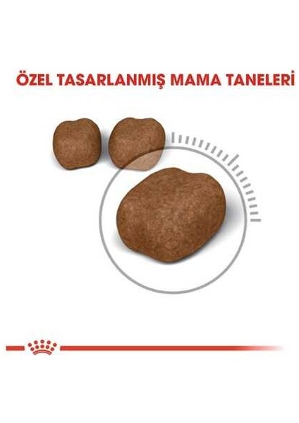 Oral Care Ağız ve Diş Sağlığı Için Kedi Maması 1,5 kg - Farmapets fırsatları