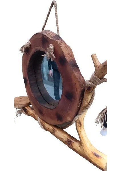 Dresuar Doğal Naturel Kurumuş Çam Çınar ve Zeytin Ağaçlar Işıklı Takım El Yapımı fiyatları