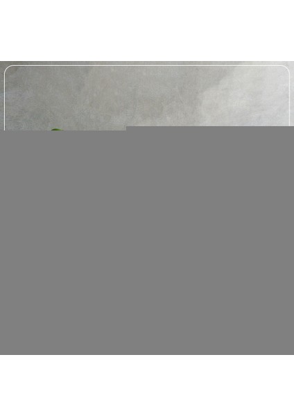 Kadınlar Günü'ne Özel Menteşeli Dekoratif Ahşap Kutu indirimleri