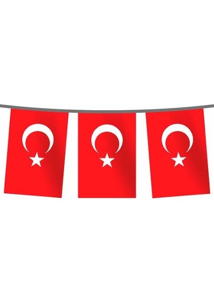 Türk Bayrağı Alpaka Dizili 30X45 cm (50 Adet - 25 Mt)