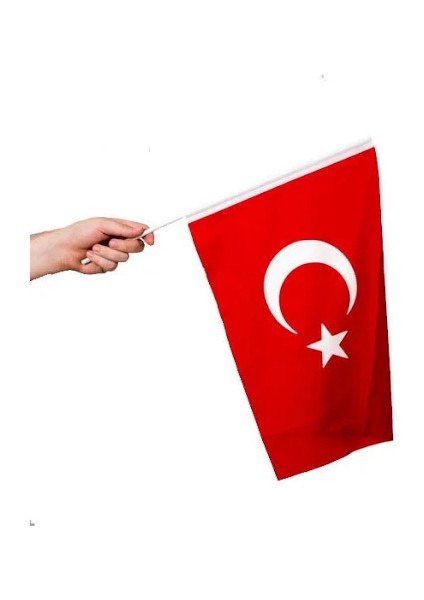 Sopalı Türk Bayrağı 40X60 cm Raşel Kumaş - 10 Adet