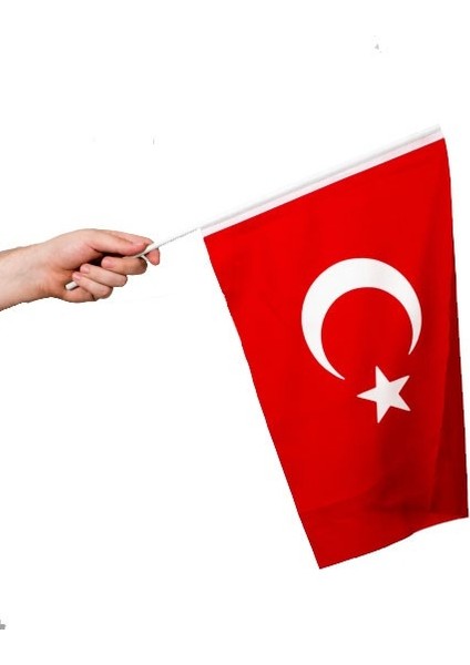 Sopalı Türk Bayrağı 40X60 cm Alpaka Kumaş - 10 Adet