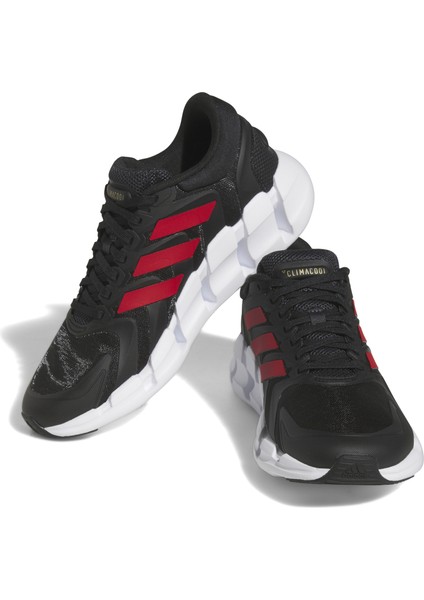 Ventıce Climacool Carbon/betsca/goldmt indirimleri
