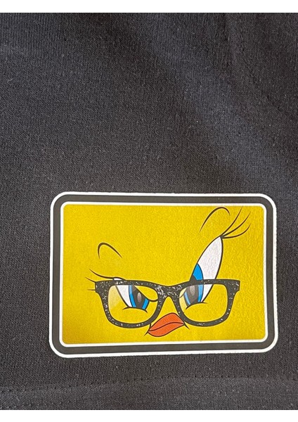 12X9 cm Ütü Ile Yapışan Ikili Tweety Sarı Kuş Baskı Arma Aplike Tişört Baskı