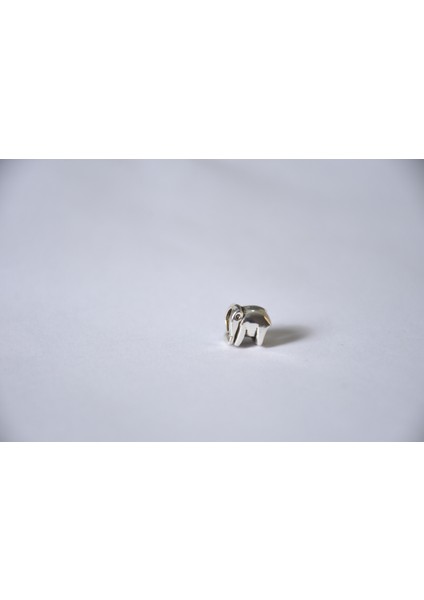 Takantalana Worldshop, Pandora, Bileklik Uyumlu, Gümüş, Charm