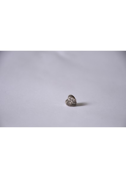 Takantalana Worldshop, Pandora, Bileklik Uyumlu, Gümüş, Charm