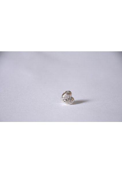 Takantalana Worldshop, Pandora, Bileklik Uyumlu, Gümüş, Charm