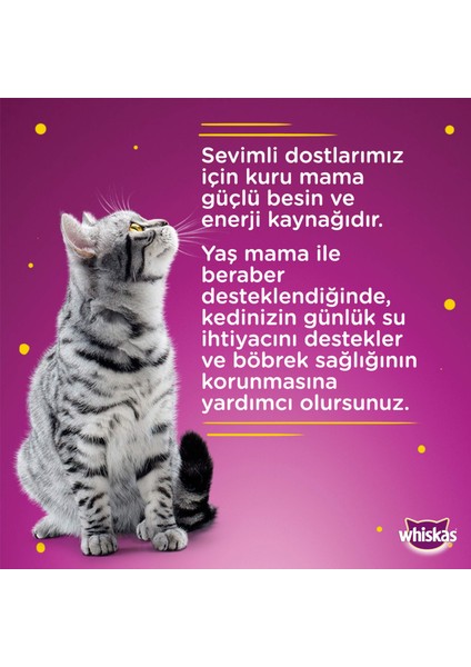 Sığırlı Pouch Poşet Yetişkin Kediler Için Tam Konserve Mama 20 x 85 Gr.