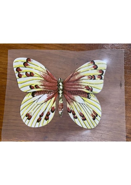 20X10 cm Ütü Ile Yapışan Transfer Baskı Kelebek Aplike Arma Tişört Baskı