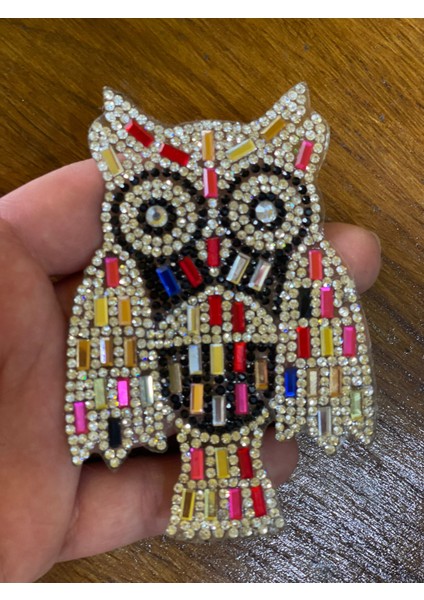 10X7 cm Ütü Ile Yapışan Taş Işlemeli Baykuş Aplike Arma Yama Şeffaf Baskı