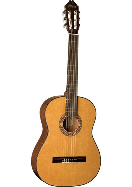 C40 Klasik Gitar