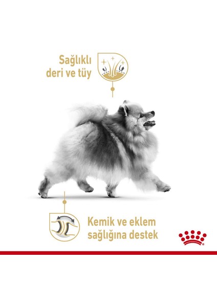 Royal Canın Bhn Pomeranın 3k