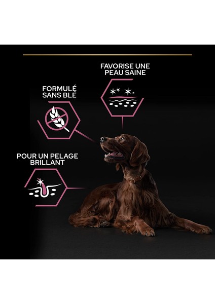 Sensitive Skin Large Athletic Somonlu Yetişkin Köpek Maması - 14 kg indirimleri