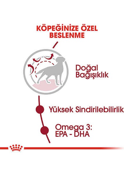 Medium Adult Yetişkin Köpek Maması 15KG - Farmapets