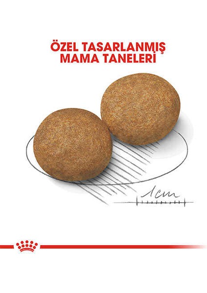 Medium Adult Yetişkin Köpek Maması 15KG - Farmapets
