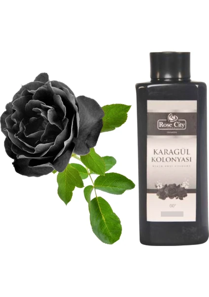 Rose City Doğal Isparta Karagül Kolonyası 380 ml