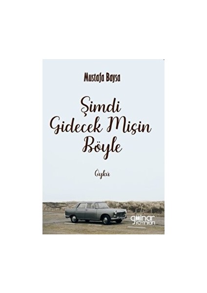 Şimdi Gidecek Misin Böyle - Mustafa Baysa