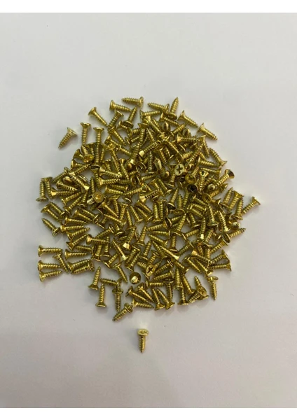 Dmr 1000 Adet 2.2x7.5 mm Sac Vidası (1000 Adet)